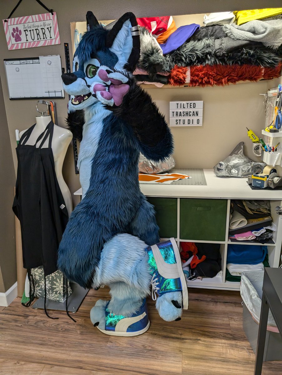 TiltedTrashcan's tweet image. Look who stopped by my little workshop. It's @frozenfuzz! 

It's so nice when a pair of kicks comes home to visit. &amp;lt;3 

Thanks for gracing my craftroom with your foxy presence. You and you pack really made my day.
