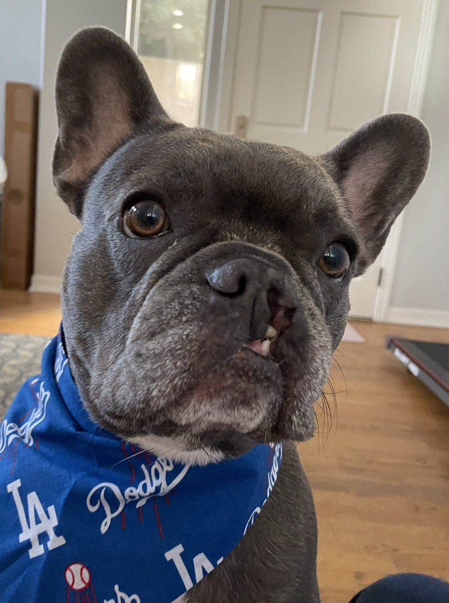 CaptechUS's tweet image. Let’s Go Dodgers!!