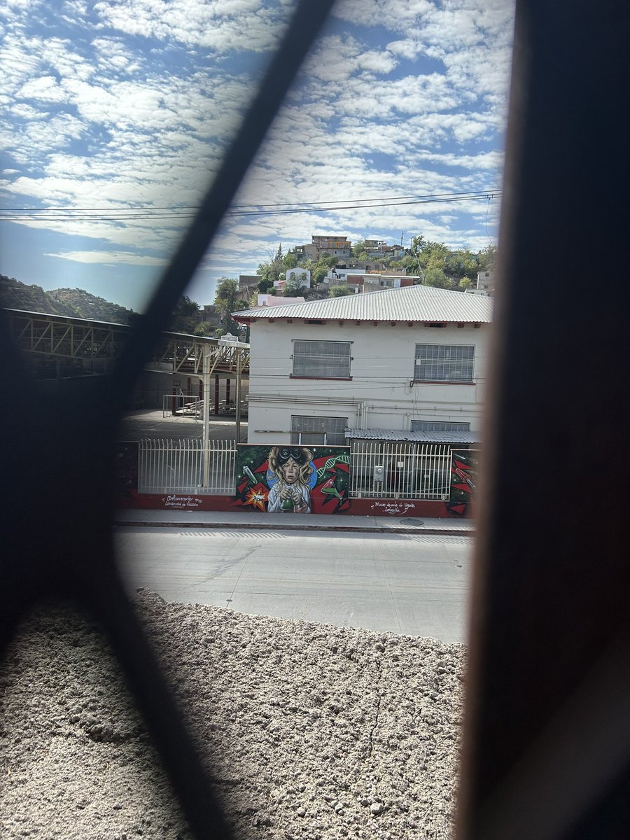 Amelia Kegan tweet media