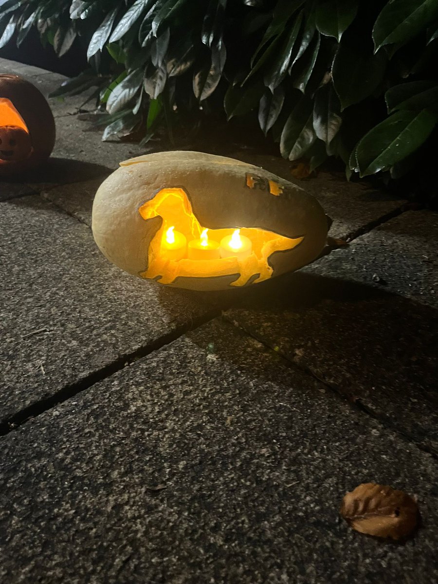 Headington Rye Boarding (@hso_boarding) on Twitter photo Something spooky is happening outside Hillstow House <a href="/HSO_Boarding/">Headington Rye Boarding</a> #HROhillstow Something spooky is happening outside Hillstow House <a href="/HSO_Boarding/">Headington Rye Boarding</a> #HROhillstow