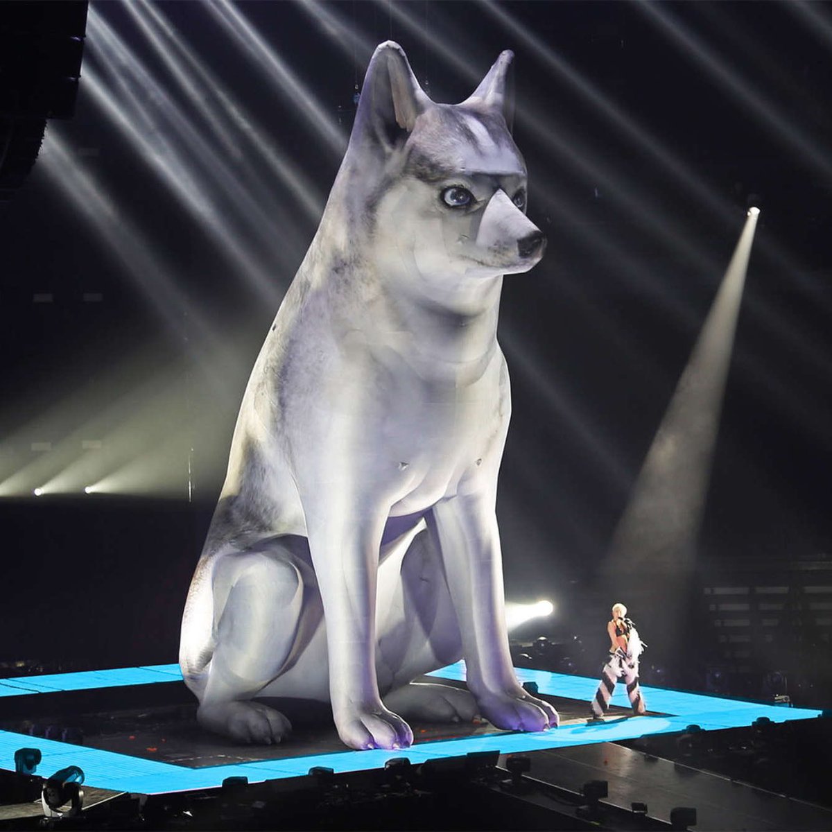 MileyUpdatePT's tweet photo. no one does it like her https://t.co/Mz5QgkGuNU
