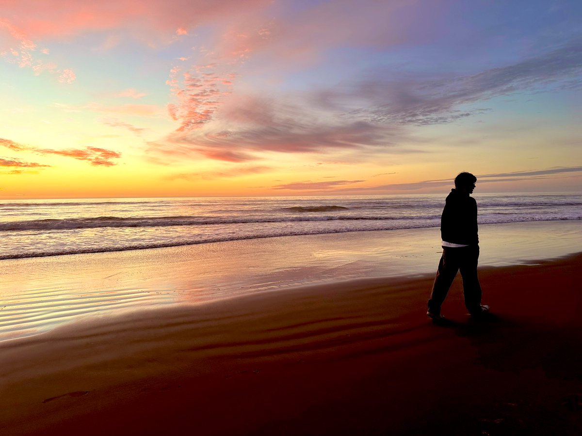 whyoscar tweet media