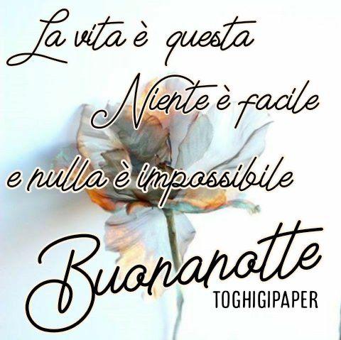 Marianna tweet media