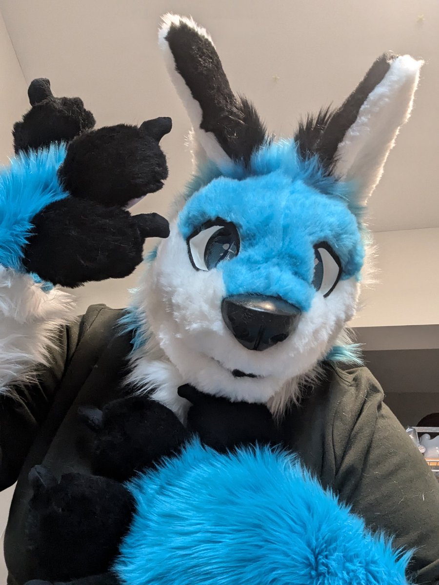 Kasocake's tweet photo. Got my @OmnidadCreation paws and tail in the other day to match my head! https://t.co/4jKDdtnxX4