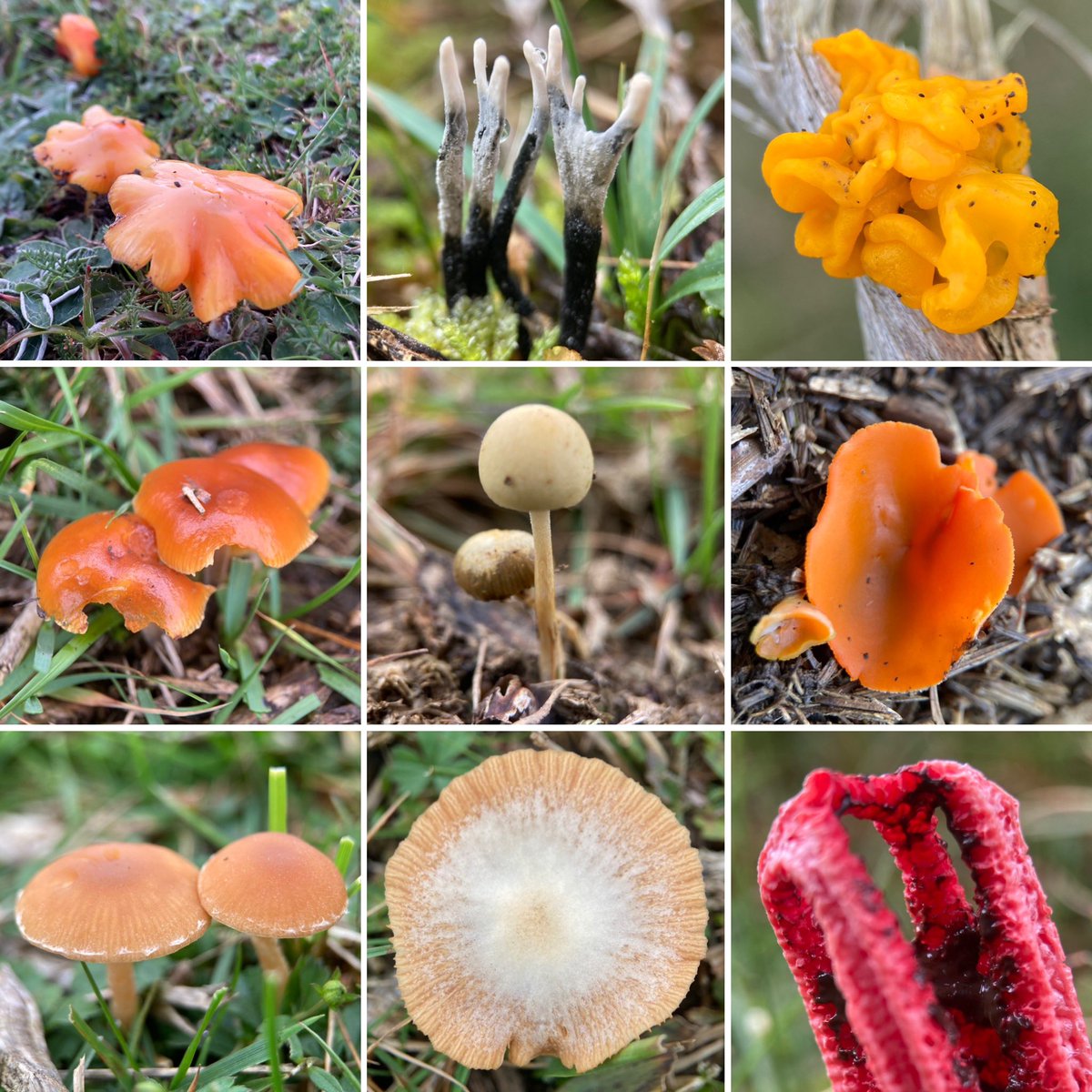 Steve Parsons 💙 tweet media