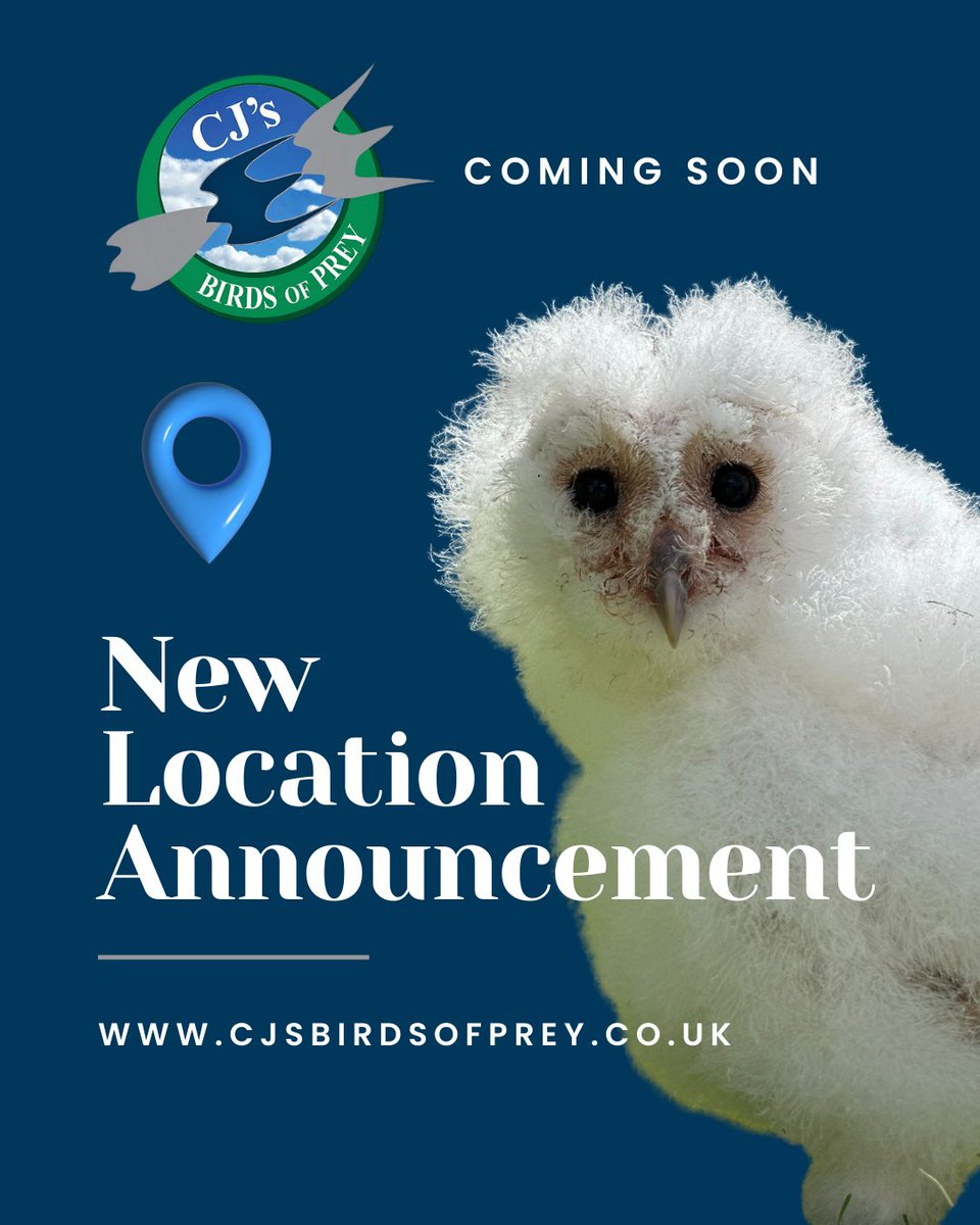 We have some exciting news coming this week!
A brand new location for you to come and enjoy our experience days!
cjsbirdsofprey.co.uk