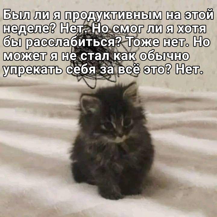 🐸жабья принцесса👑 (@kxiq7u7oc8nsgnc) on Twitter photo 