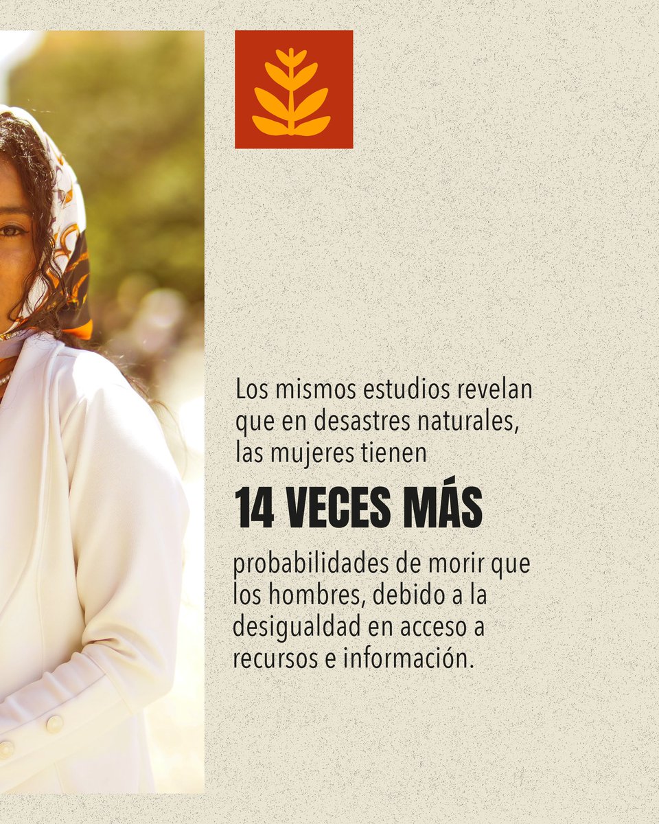 Secretaría de la Mujer tweet media