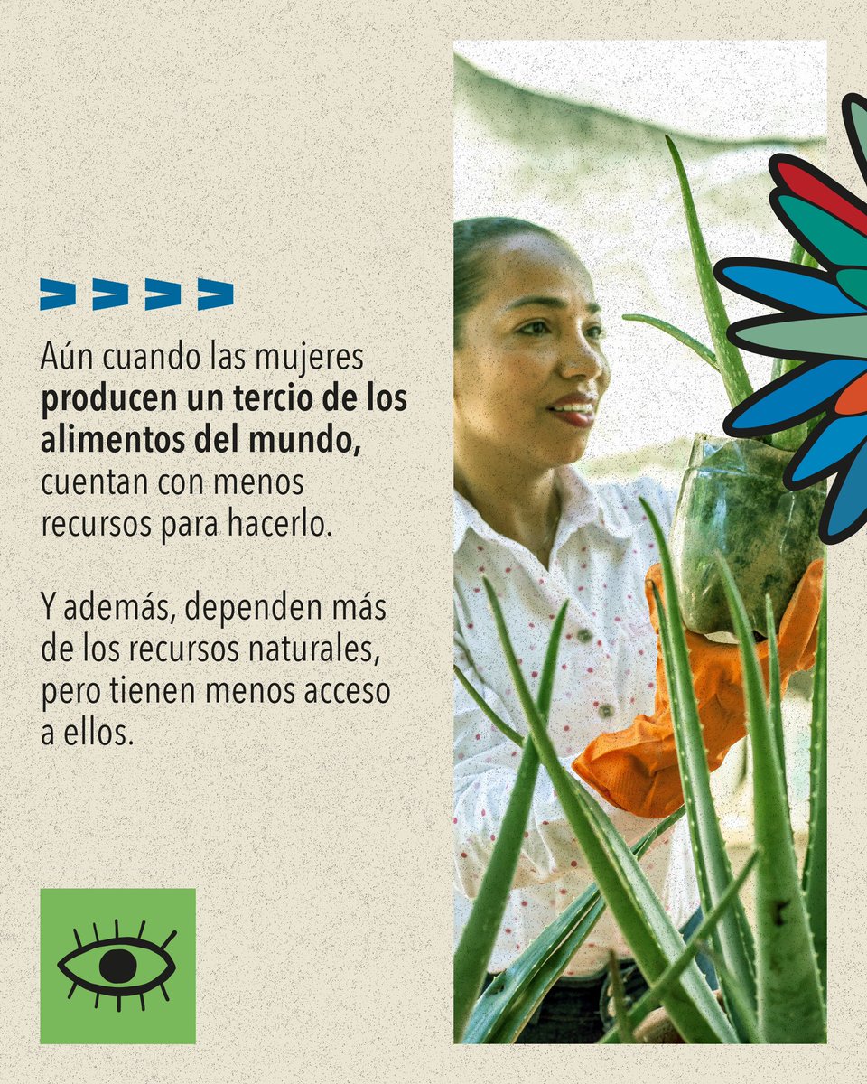 Secretaría de la Mujer tweet media