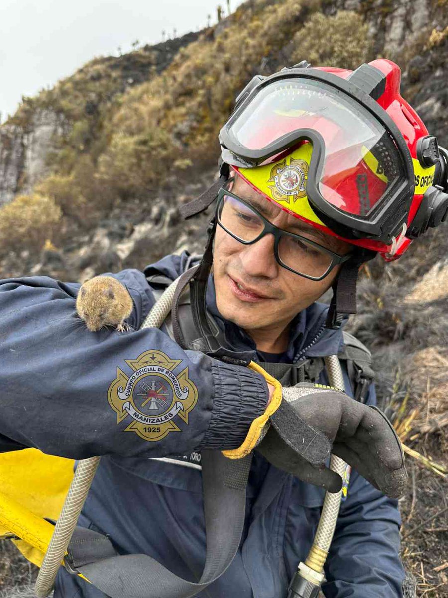 Bomberos Oficiales Manizales tweet media