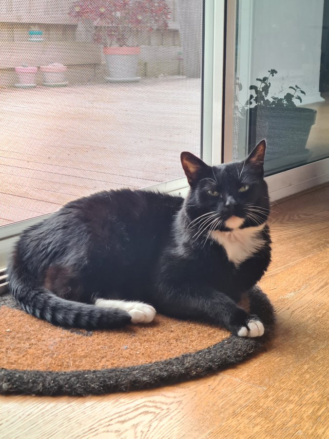 Northstorm tweet media