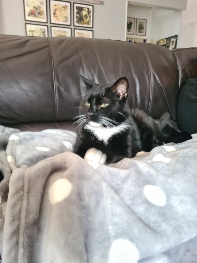 Northstorm tweet media