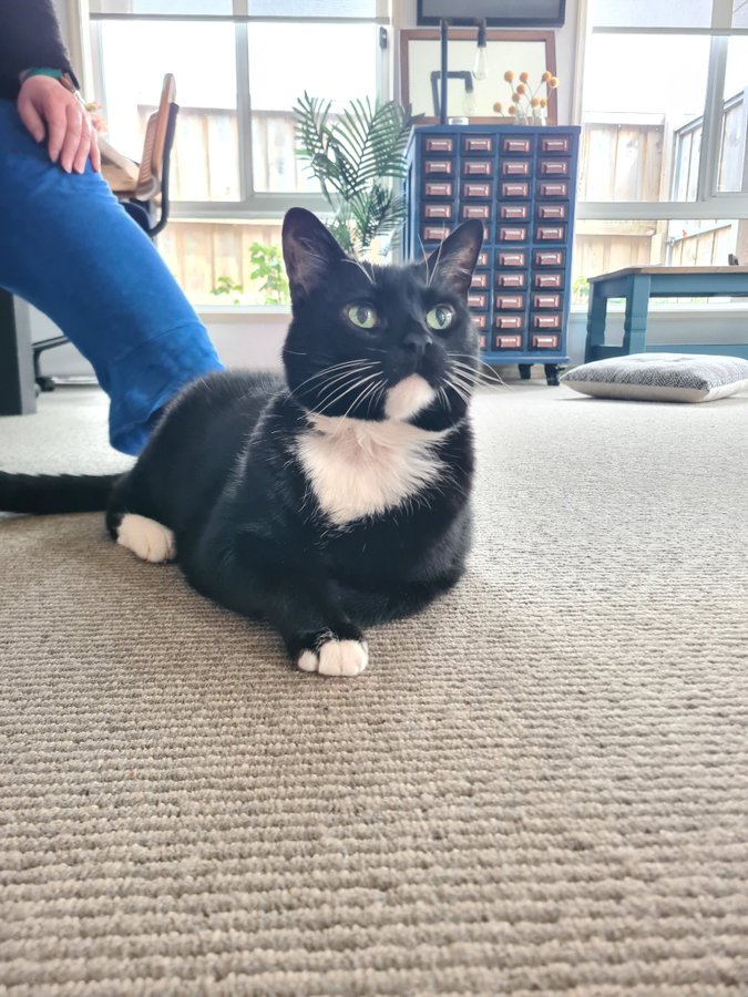 Northstorm tweet media