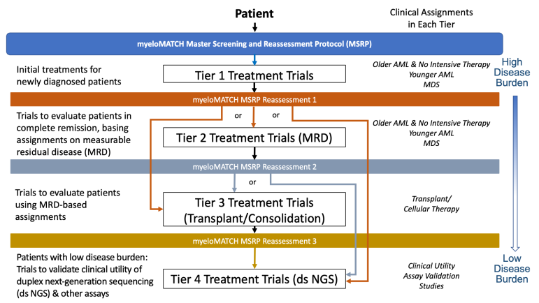 Duke Hematologic Malignancies & Cellular Therapy tweet media