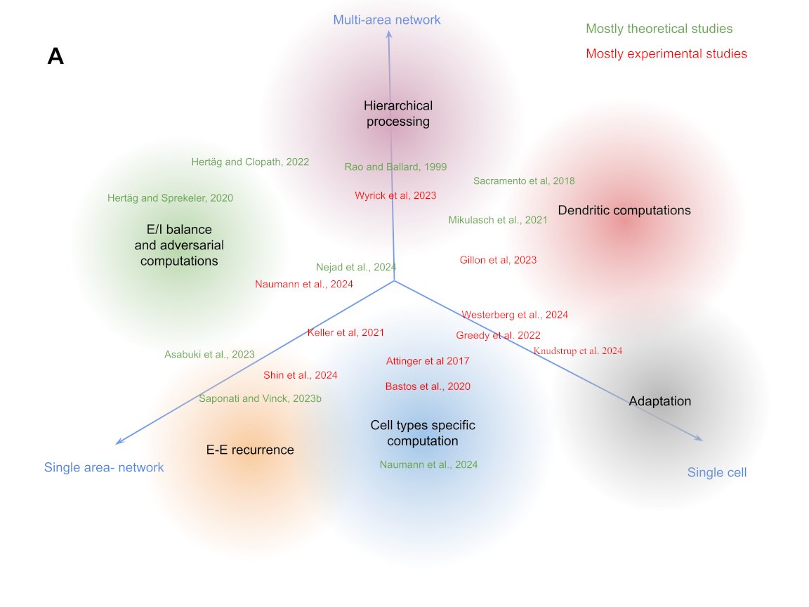 We will continue to meet tomorrow morning on Zoom to discuss our OpenScope community project. Here is a recent figure, trying to #connect the dots 🔍📰 in predictive processing. docs.google.com/document/d/1g-…
Everything is open and drafted collaboratively. #ScienceInTheOpen
