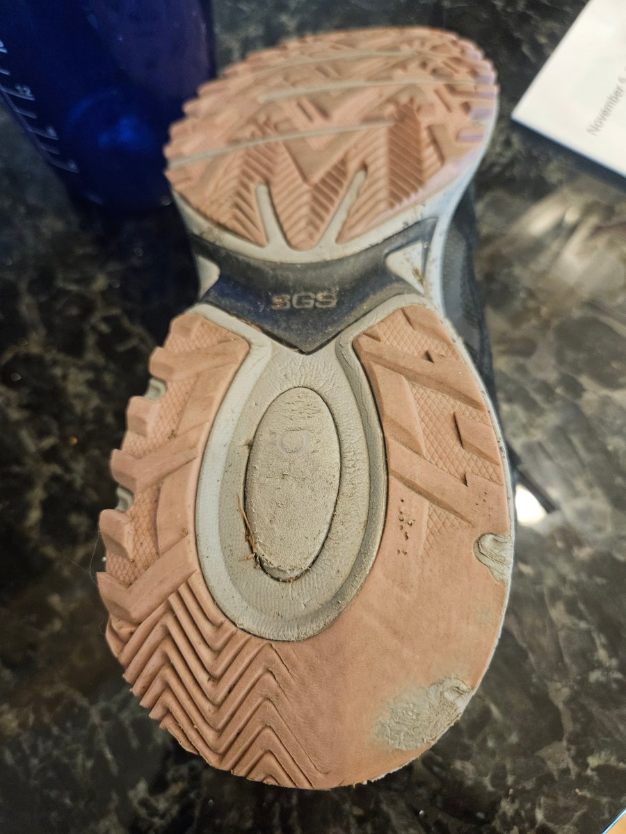 L 🐙🪷 tweet media