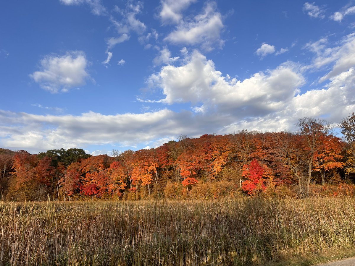 AbbieThurmes's tweet photo. Fall 🧡 #lakescountry #OTC https://t.co/rhC79C4Fas