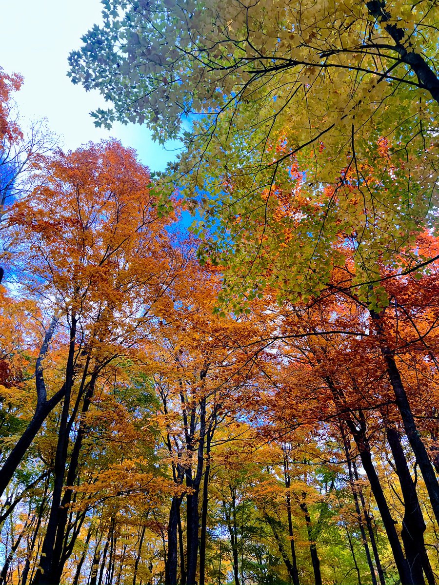 AbbieThurmes's tweet photo. Fall 🧡 #lakescountry #OTC https://t.co/rhC79C4Fas