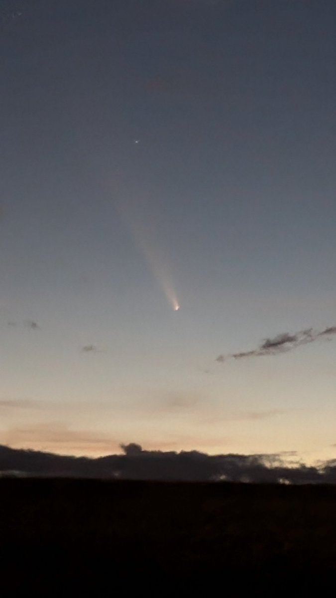 Drumsann tweet media