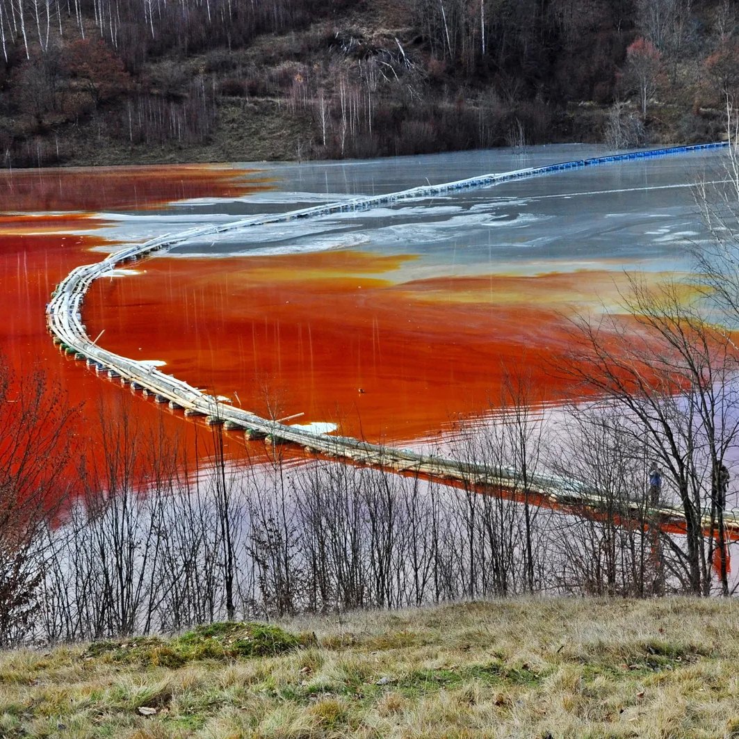 CHROMESOIL's tweet image. 