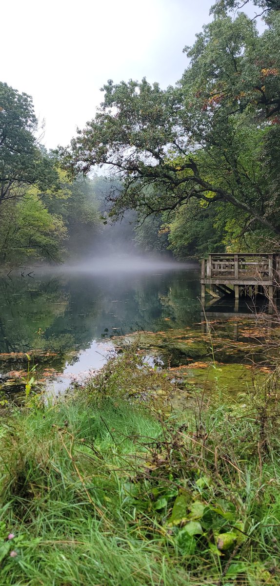 AnnikParanormal's tweet photo. That one time at Paradise Springs... https://t.co/bkgwn9UNru