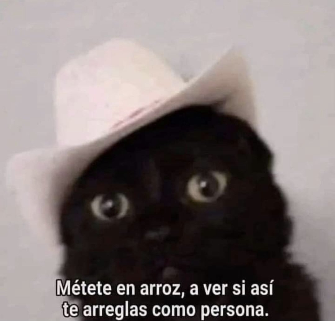 GildajuarezV's tweet photo. Como psicóloga también puedo hacer chistes no? https://t.co/WAbGgmdDPN