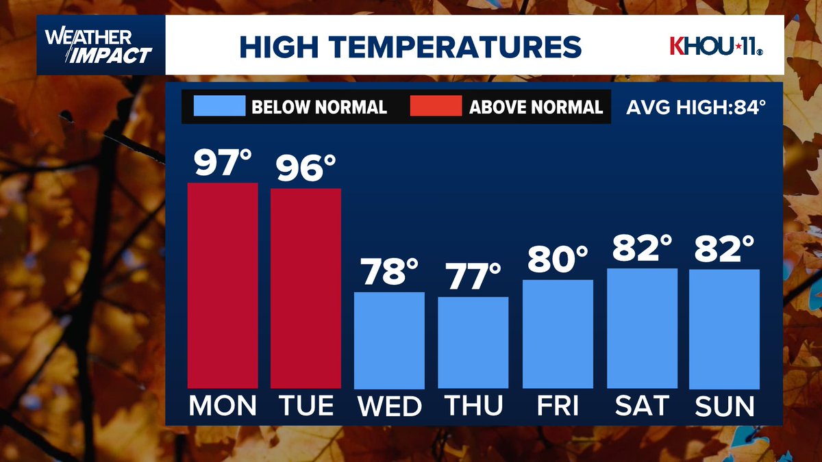 Pat Cavlin tweet media