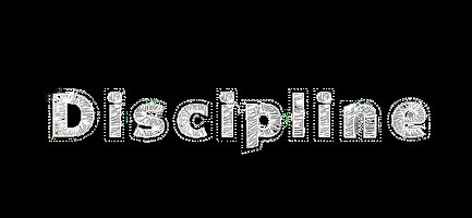 DiggyTee's tweet photo. @nft_oliii @IcedKnife #discipline is coded https://t.co/VZl7OcaK1I