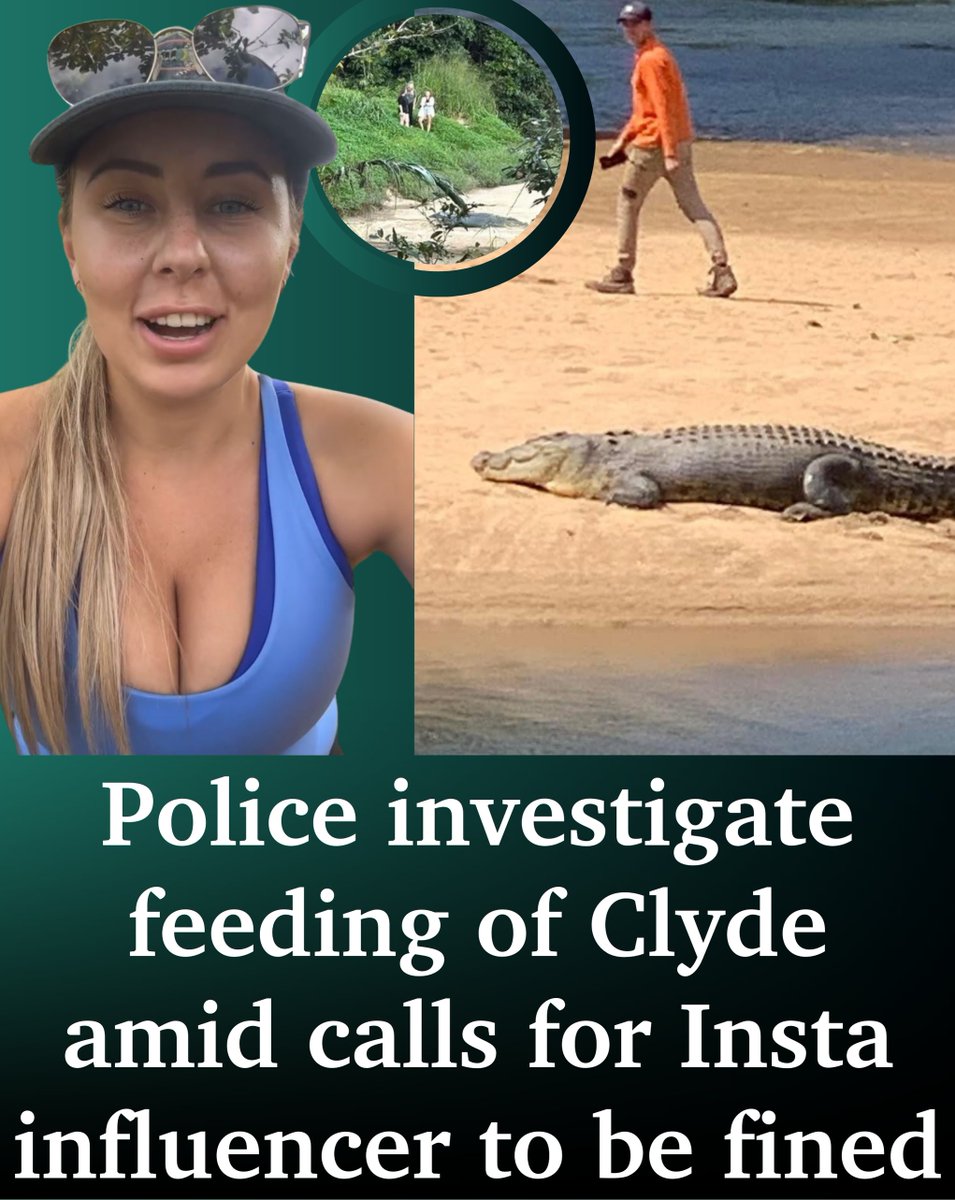 Call for influencer to be ‘poster child’ for tough new croc laws

A Far North landowner says it’s only a matter of time before someone is eaten as droves of people trespass on his land to feed, harass and have picnics near an iconic crocodile. #Clydethecroc #FNQ