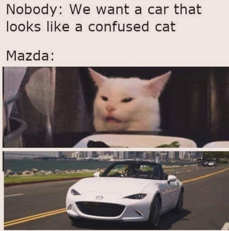 Smudge The Cat Token tweet media