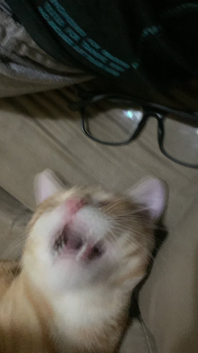 ariel (@pelvinh0) on Twitter photo 