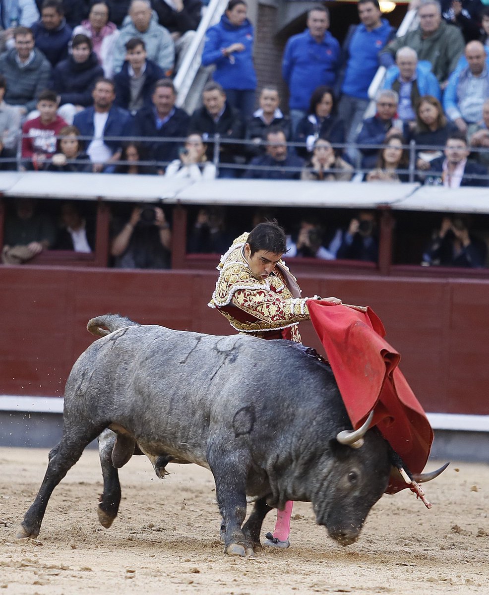 miguel lopez garrido tweet media