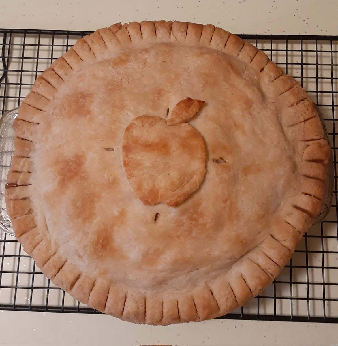 xXNight_NurseXx's tweet photo. ooOOoo And #SheCanBake too ! ! #CanadianThanksgiving #ApplePie à la mode for Lunch, don't mind if I do 🥧🤤 https://t.co/sPC256Kjv3