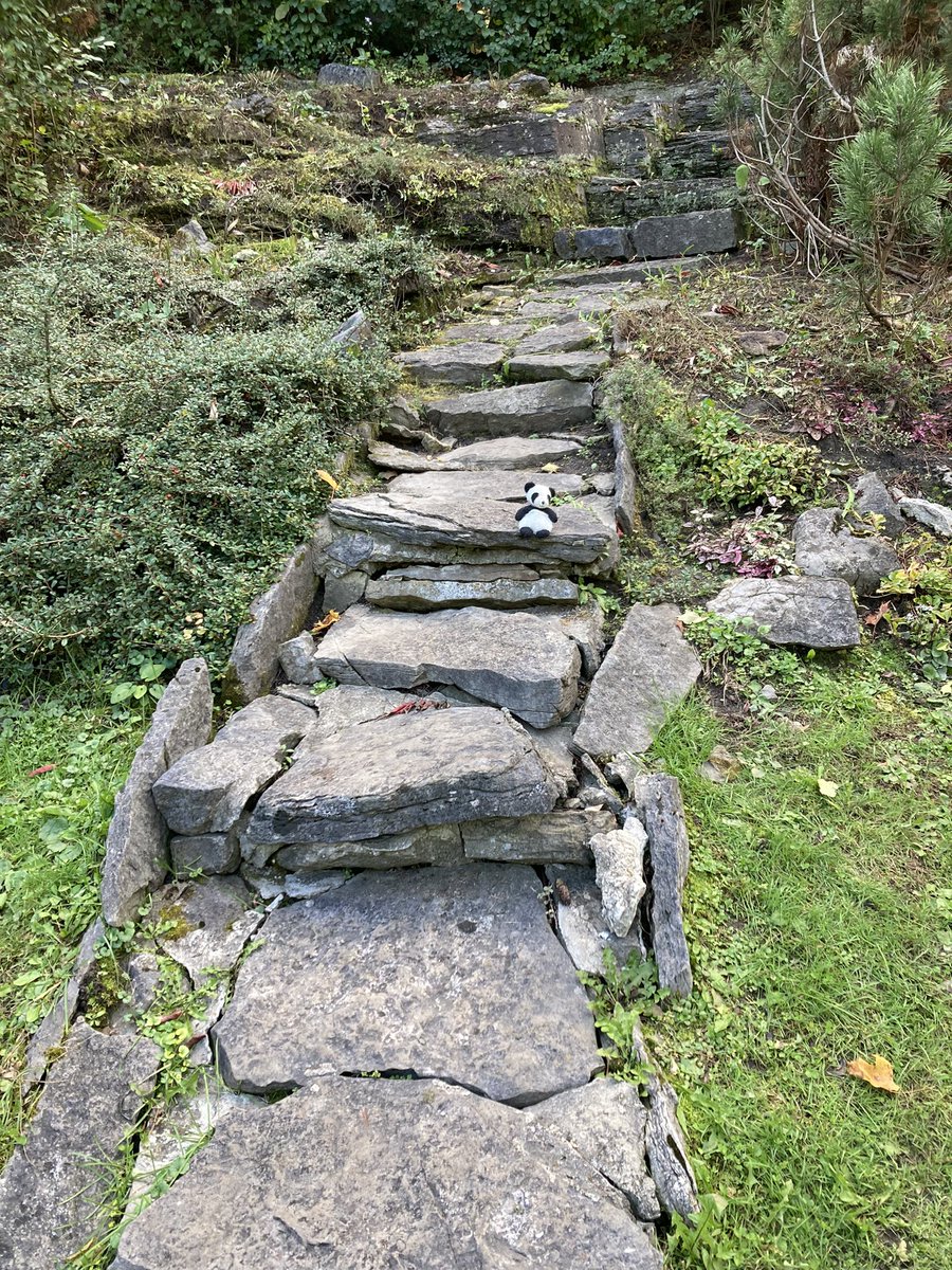 Adventure_Gauss's tweet photo. Went on a fall walk today. Happy Thanksgiving everyone! #ThanksgivingWeekend #Thanksgiving2024 #Thanksgiving #fallwalk https://t.co/rit1hxRiMB