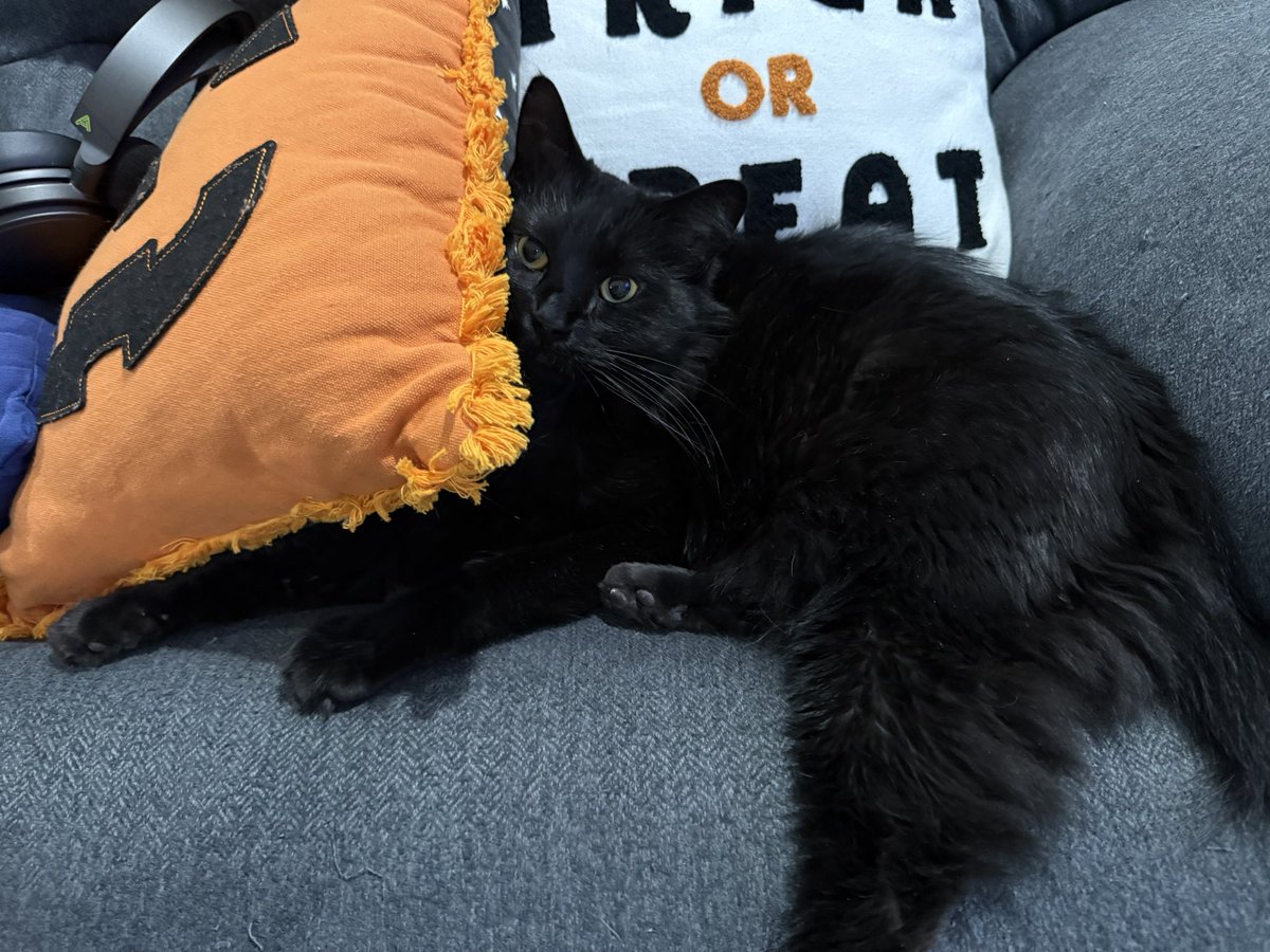 Frappuccino is getting ready for Halloween. 🎃