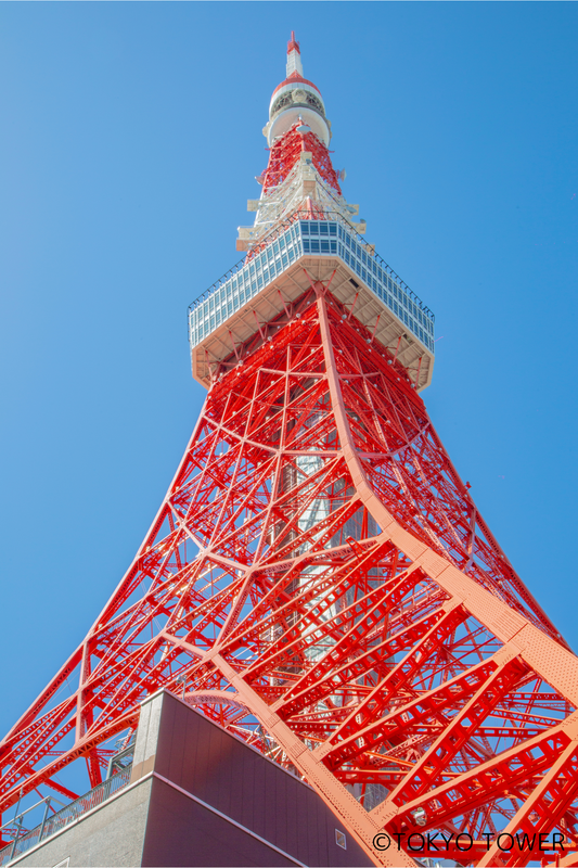 sorafes_jp's tweet photo. 🗼本日最終日🗼
宙フェス2024＠東京タワー
連日たくさんのご来場をありがとうございます。
大盛況のタワーホールマーケットは
12時OPEN✨
本日限定参加のクリエイターさんもたくさん！
ぜひ遊びに来てくださいね✨
https://t.co/y6mjAkxeYv https://t.co/6Z1JyD5gFy