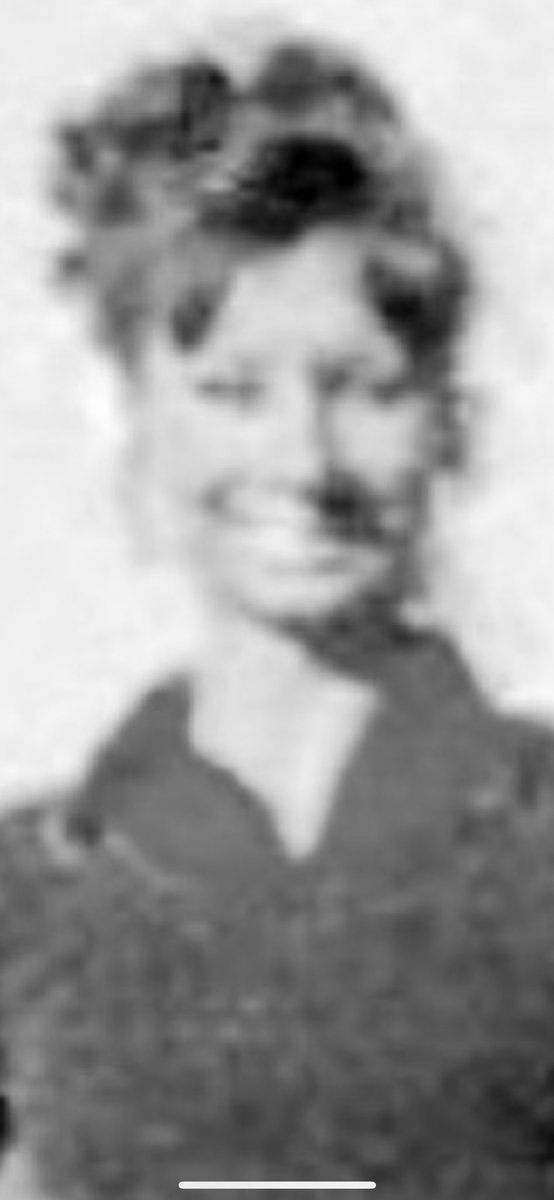 cat 💌 tweet media