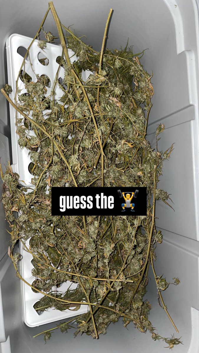 ShawnieSwisher's tweet image. still gotta cooler full left to trim🥲
yall needa get hip to carpet company dropping heat
#SMOKEDATSHIT