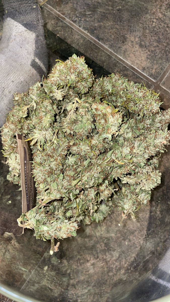 ShawnieSwisher's tweet image. still gotta cooler full left to trim🥲
yall needa get hip to carpet company dropping heat
#SMOKEDATSHIT