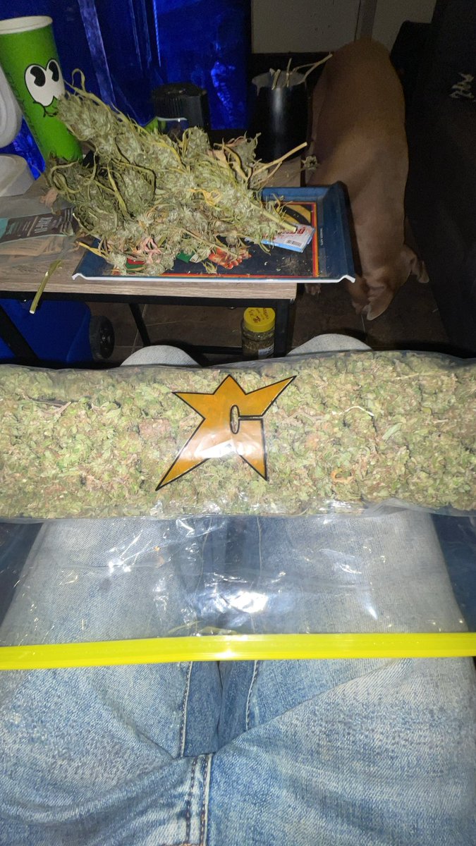 ShawnieSwisher's tweet image. still gotta cooler full left to trim🥲
yall needa get hip to carpet company dropping heat
#SMOKEDATSHIT