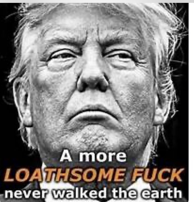 NinetyNinerMB's tweet photo. @BCP_EM @Gdad1 @MelissaM_M1ller @Fmoore528585 @TylerStrick21 @ESBlueTN @onejstchillin @BluebonnetsTx8 @JaySwansonPool @drogers000 @democratic_kat @HOMELANDPGCEO @Ed_W_Jones @BMFPerspective @BigMouthedCunt @m4a2022 @moethedog97 Thank you GDad for the mention! 💙⭐️

Found a few new #BlueCrew patriots I wasn’t following yet, it’s always a privilege.

#HarrisWalz2024InALandslide 💙⭐️

#LockTrumpUpForLife 
#VoteBlueToStopACriminalIdiot https://t.co/QKUFOfelYr