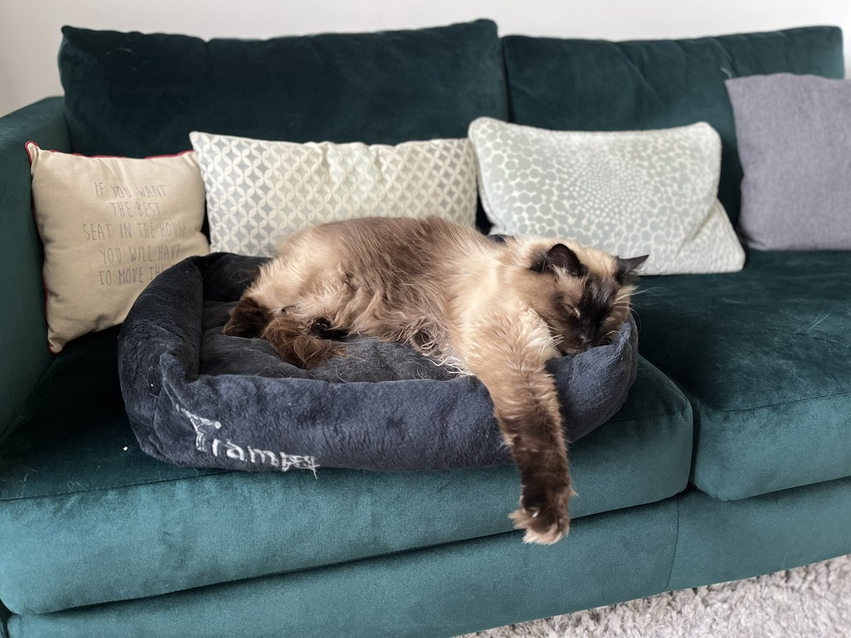 EJM1978's tweet image. Finishing the weekend like…..