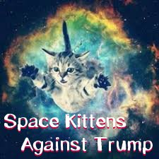 time4kind's tweet photo. Brava!!  
.   Gal Axy is sending 
.      #SpaceKittens to save us.  
.         Hang on! https://t.co/3bQyNTa3hX