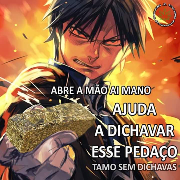 canabisbrasil's tweet photo. https://t.co/OlgDIE8pVA