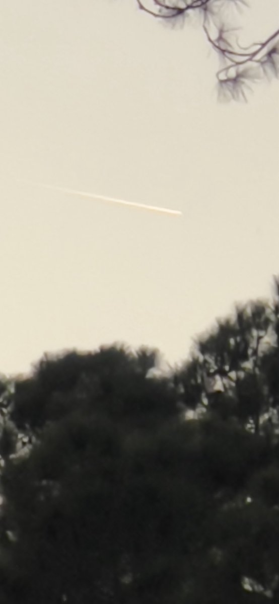 Saw the comet just a little before sunset. No binoculars/telescope needed.  Goes by very fast. Will be out over the next several days.