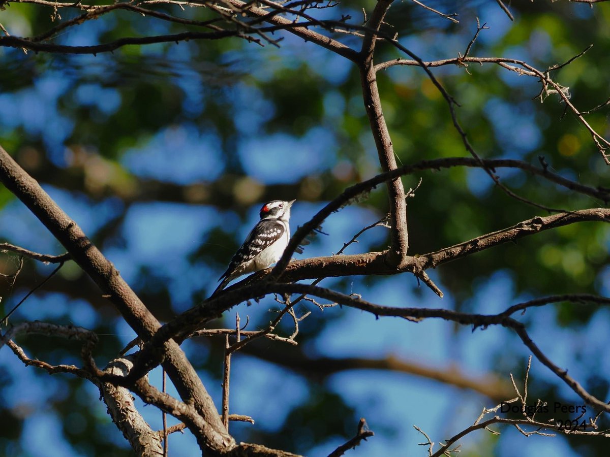 Happy Thanksgiving all