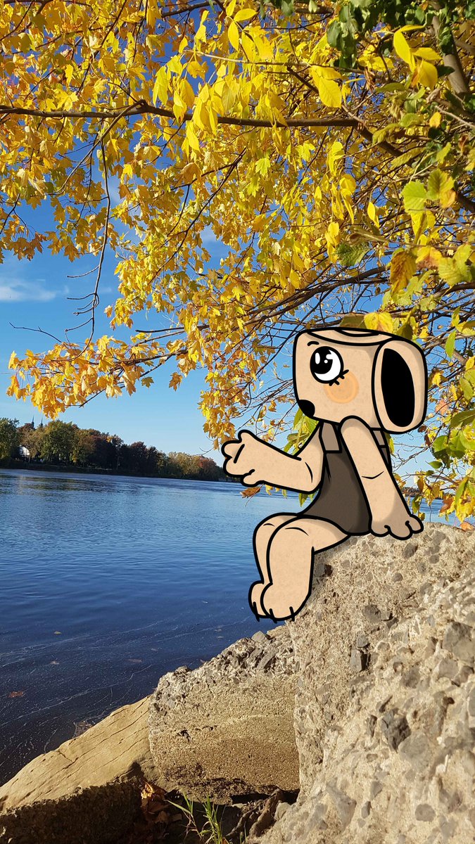 Eris 🌟 tweet media