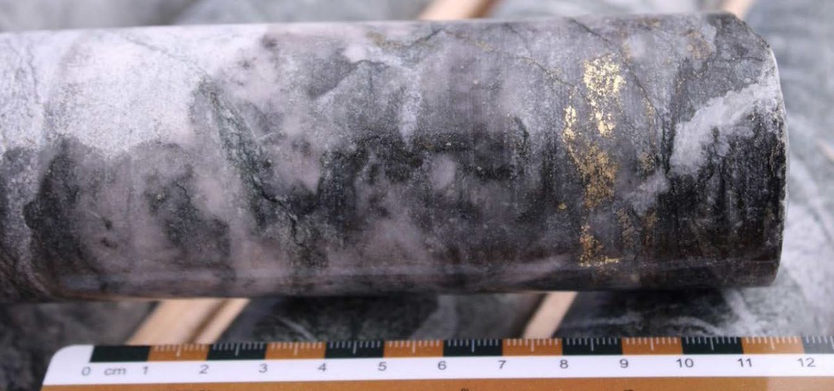 We have appointed external consultants to conduct a structural targeting analysis program of the high grade gold mineralisation potential of the Edleston Gold Project.

🗞️Read the full ASX announcement here:  tinyurl.com/ffb8kwyn

$ASO #AstonMinerals #gold #Canada #ASXnews