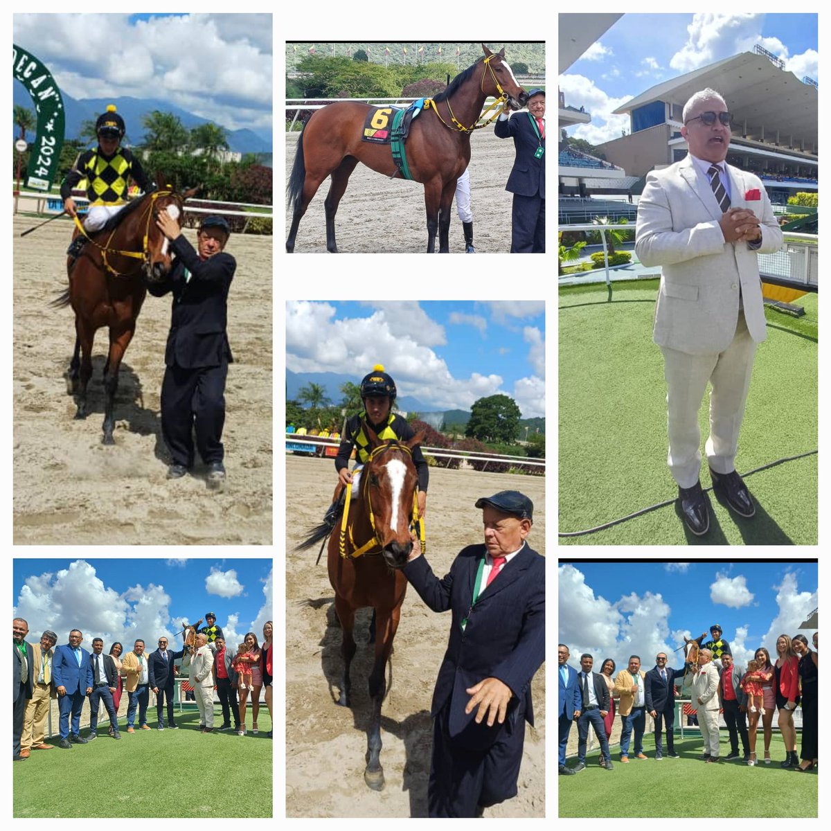 jjreyes1981's tweet photo. Mi Querida Emma.. Ganadora del Clásico Ezequiel Zamora. Felicitaciones @luismartinf_ #StudMM @David_Hipico1 #CamiloMartin @harasorlyana https://t.co/X2Ia7Oy2L7