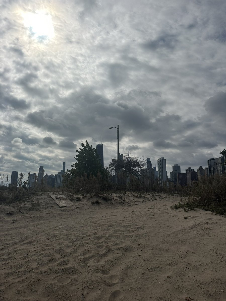 The Chicago skyline as seen from afar